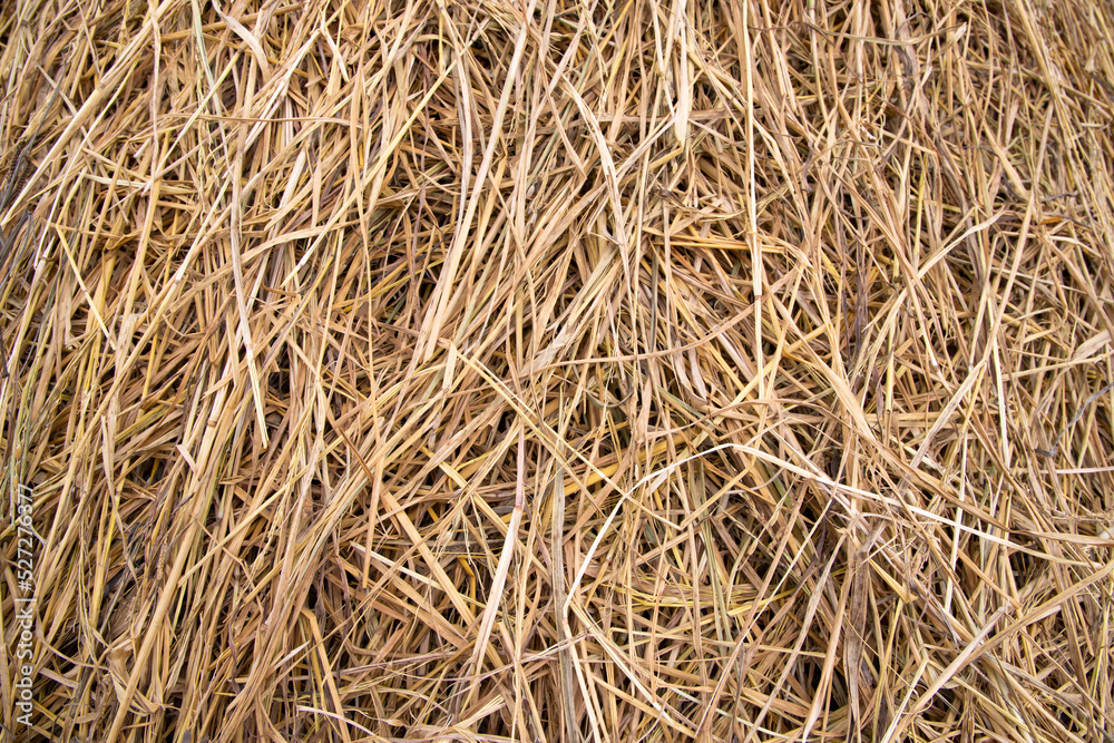 Brown hay, dry hay texture background Brown hay, dry hay texture background