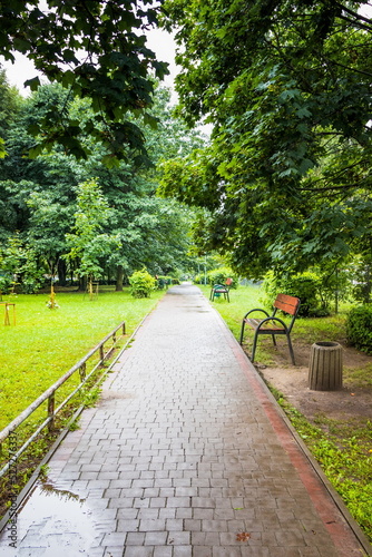 Fototapeta Naklejka Na Ścianę i Meble -  Bench in a path after the rain stops. Summer park with wooden be