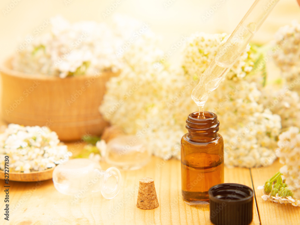 Bottle of essential oil with fresh flowering yarrow branches in the background on a wooden table .alternative medicine