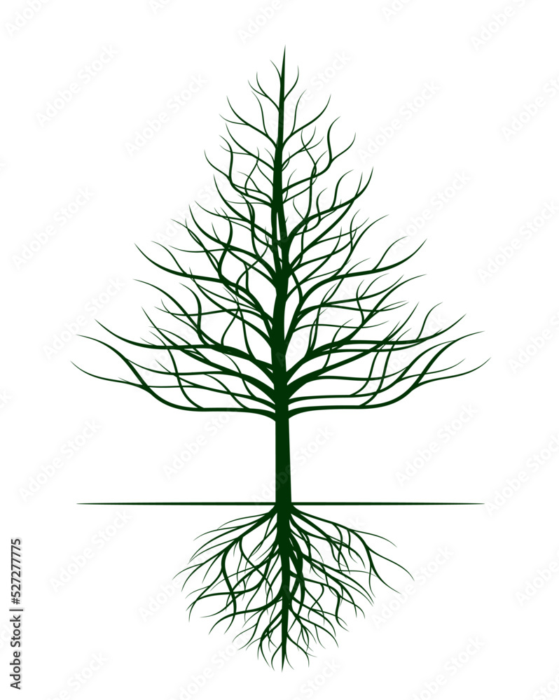 Obraz premium Green Tree with Roots. Vector outline Illustration.