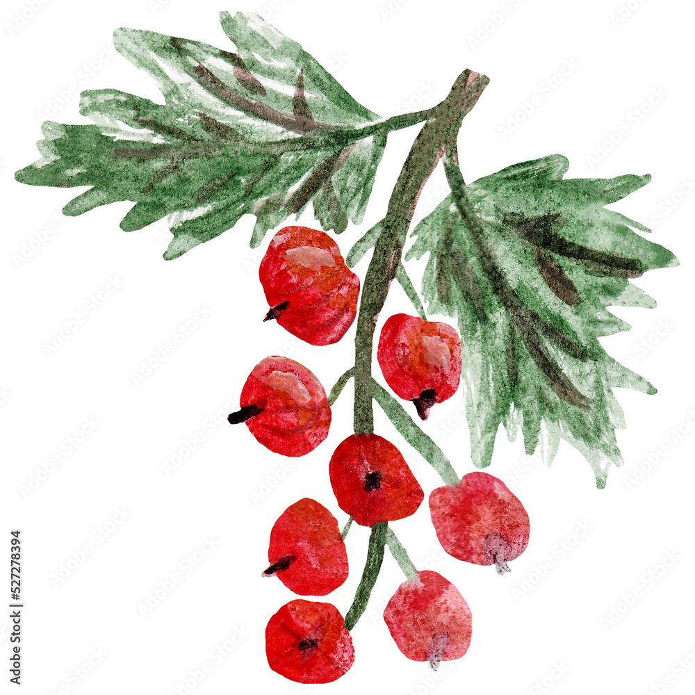 Φωτογραφία Watercolor clipart of a single branch of red currant with ripe berries and green leaves