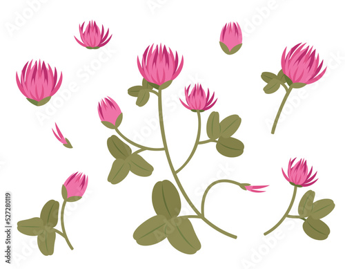 Set of red clover design elements. Wildflowers in cartoon style.