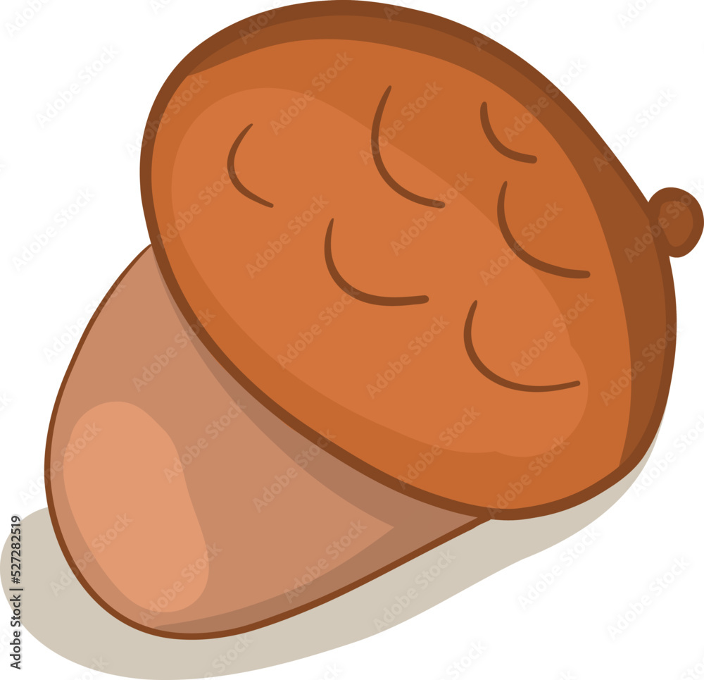 Obraz premium Cute brown acorn