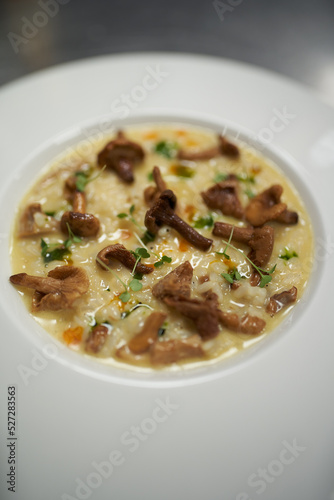 Wallpaper Mural Mushroom cream soup on a white bowl, close-up Torontodigital.ca