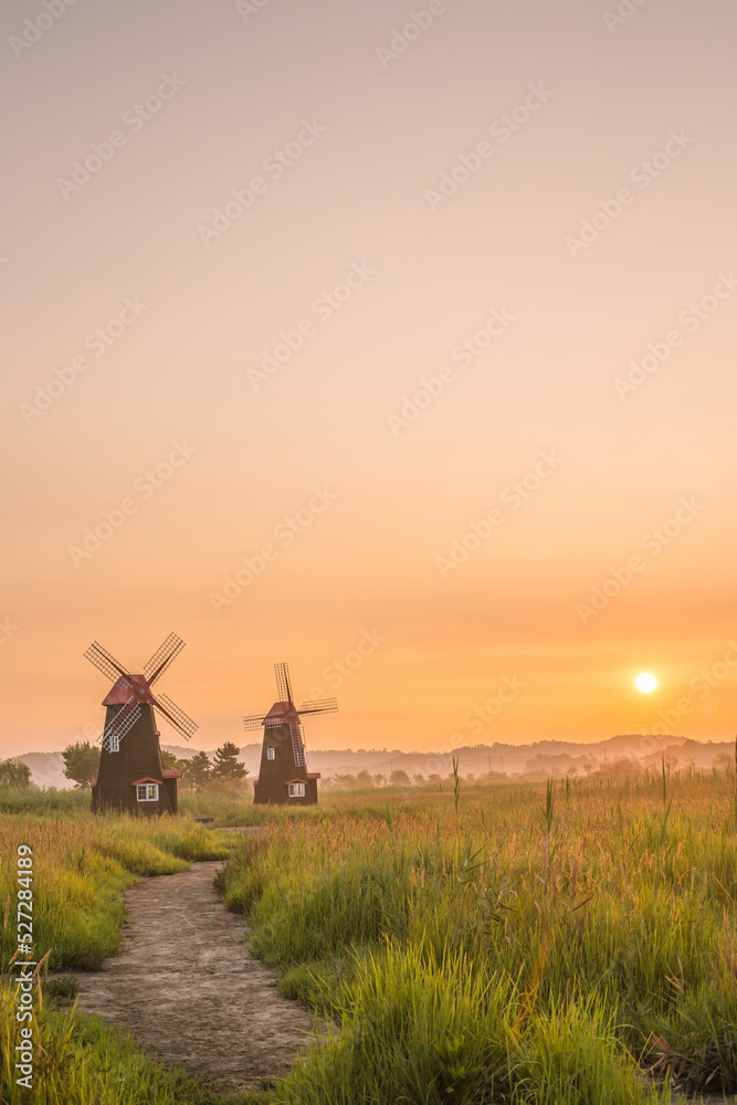 Fototapeta premium windmill in the sunset