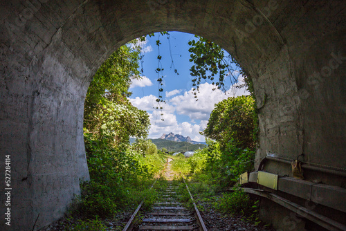 tunnel in the forest