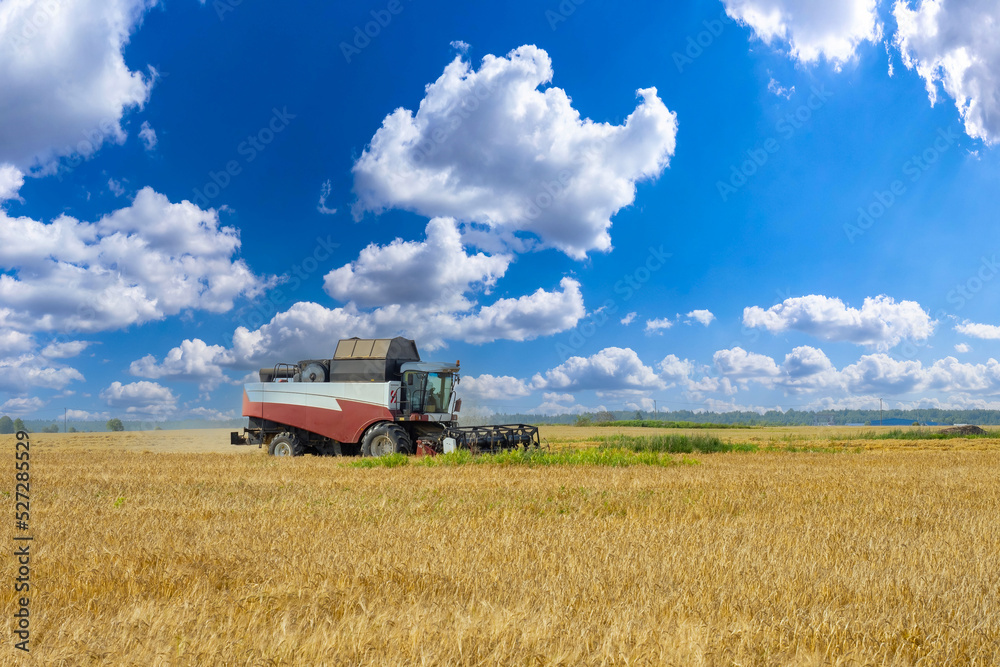 Fototapeta premium Agricultural landscape. Wheat field with combine. Combine for harvesting wheat. Agricultural landscape with special machinery. Wheat field with blue sky. Grain harvesting. Agricultural industry