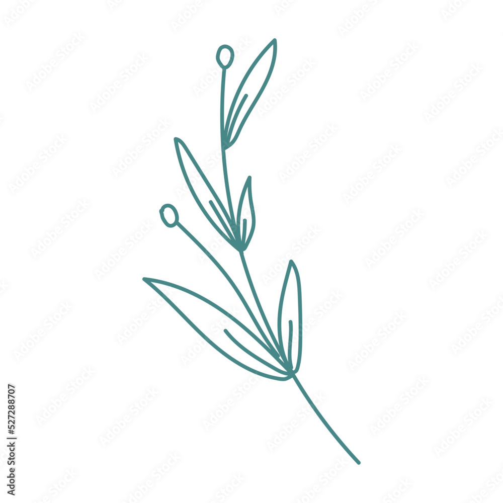 botanical flower plant decoration botanical flower plant decoration