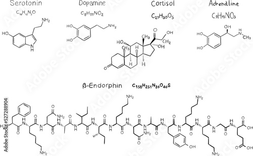Detailed set featuring the chemical formulae of essential neurotransmitter molecules, including dopamine, serotonin, cortisol, endorphin, and adrenaline.
