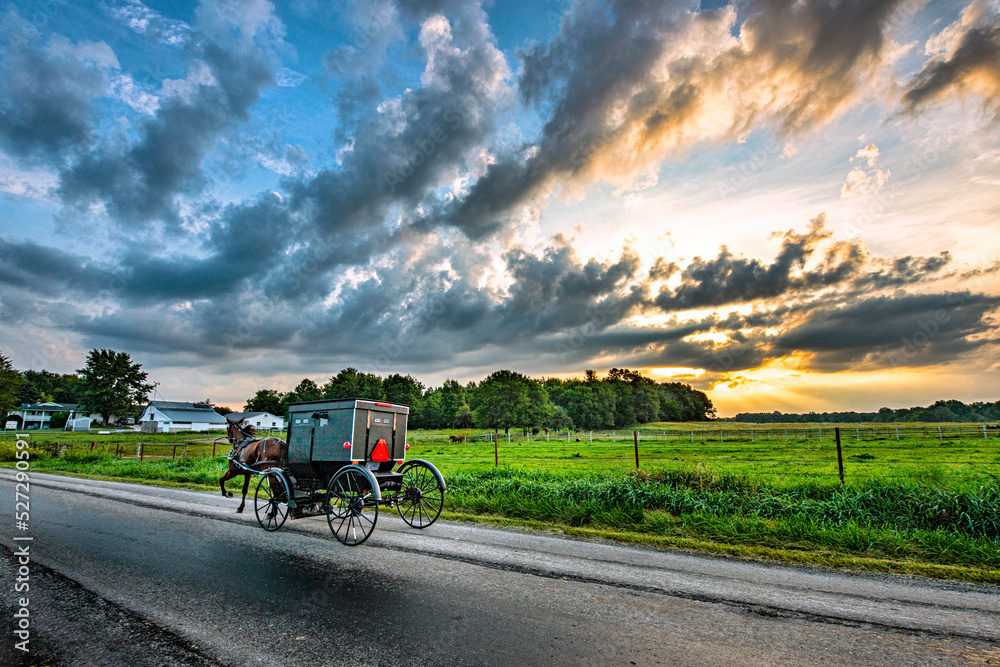 Amish Buggy on Rural Indiana road at sunrise.