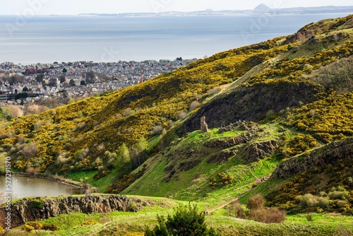 Hiking trail with yellow gorse shrubs over Arthur's Seat hill in Edinburgh.