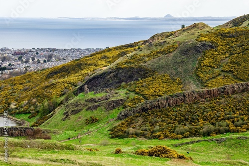 Foto Hiking trail with yellow gorse shrubs over Arthur's Seat hill in Edinburgh