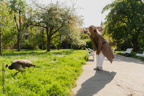 happy african american woman in headscarf and stylish trench coat looking at peacock in park. photo