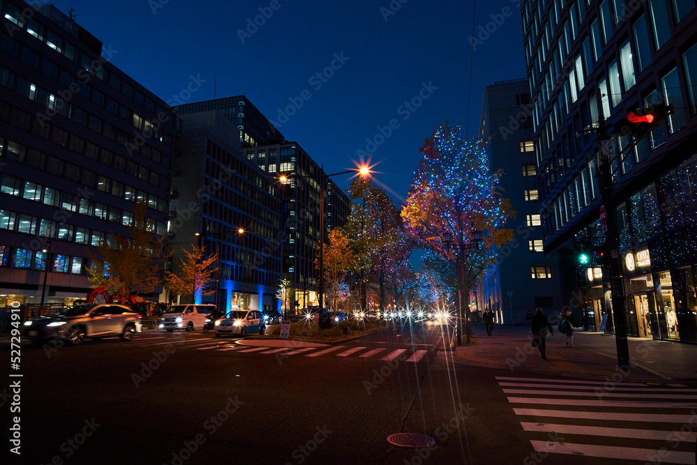 Midosuji Avenue Lights in Osaka, Japan
