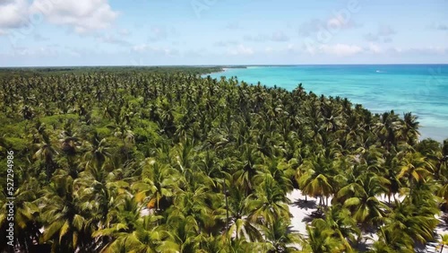 Flight over coconut palm plantations on a paradise island with crystal-clear caribbean sea in the background