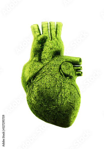 3D human heart grass isolated
 (ID: 527295759)