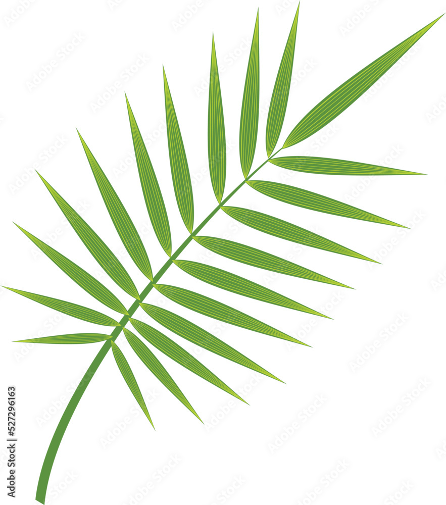 Fototapeta premium Green exotic plant leaf. Jungle foliage icon
