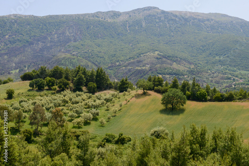 Rural landscape with fields and mount Erymanthos in Greece photo