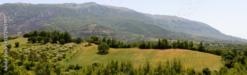 Rural landscape with fields and mount Erymanthos in Greece photo