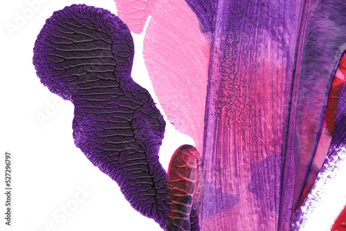 pink purple abstract acrylic painting color texture on white paper background by using rorschach inkblot method