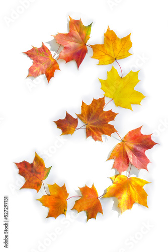 Number 3 from of colorful autumnal maple leaves on white background. Top view  flat lay