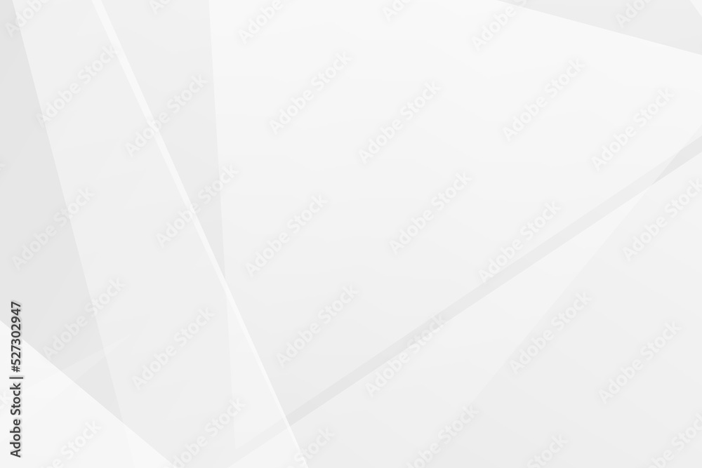 Obraz premium Abstract white and grey on light silver background modern design. Vector illustration EPS 10.