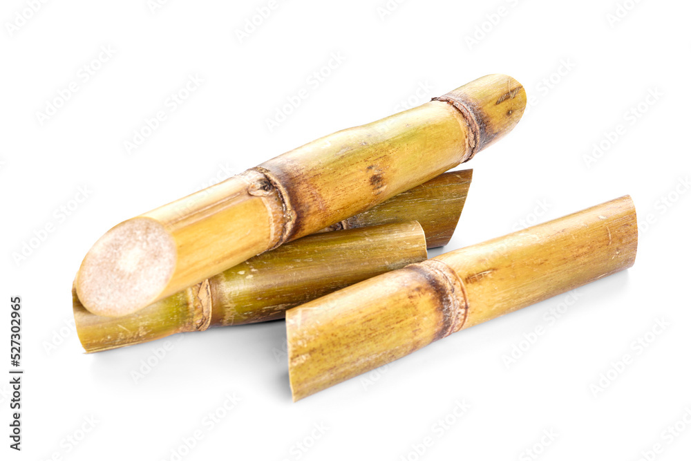 Sugar cane isolated on white background, closeup. Sugar cane isolated on white background, closeup.