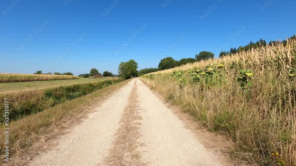 road in the countryside road in the countryside