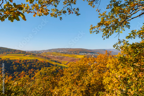 View of the autumn colored hills on the Rhine near Bingen/Germany