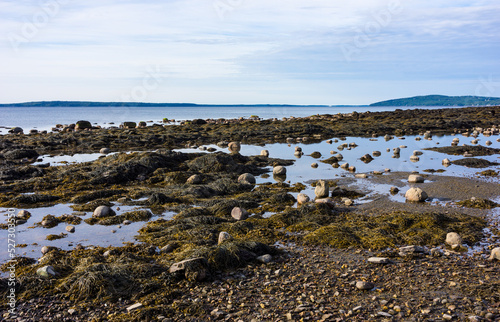 Low tide with tidal pools on the coast of Maine