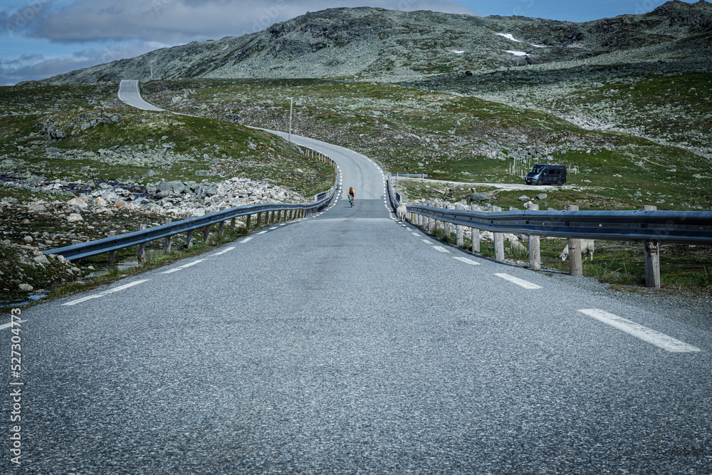 Routes et Fjords de Norvège en été