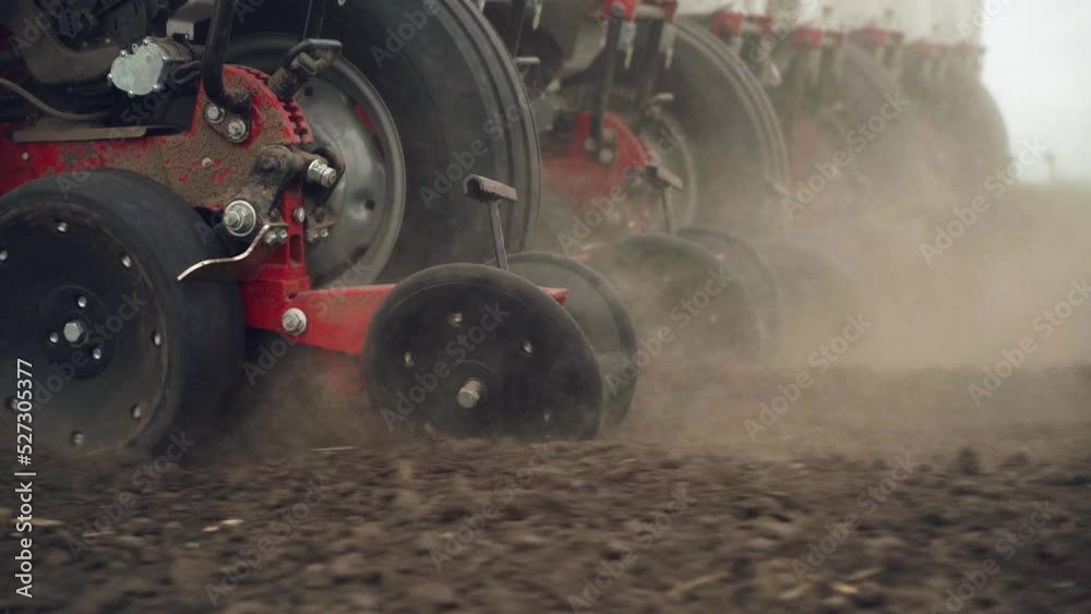 sowing the field with corn grains. tractor works the field with a seeder. close-up