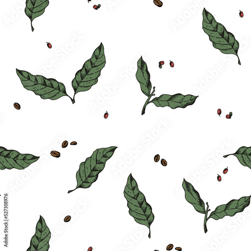 Illustrated etching style pattern matrix with Coffee leaves, and beans