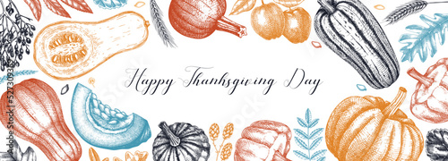 Thanksgiving background. Pumpkins sketches in color.  Autumn plants and fruit drawings. Vector vegetables, butternut squash, marrow, pumpkin sketches. Fall banner design. Harvest festival.