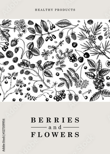Wild berries card or invitation sketched style. Hand drawn fruits and flowers vector frame design. Vintage forest plants sketch. Summer berries - strawberry, raspberry, bilberry, blackberry, cherry.