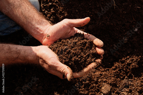 Hand holding organic fertilizer compost humus. Topsoil