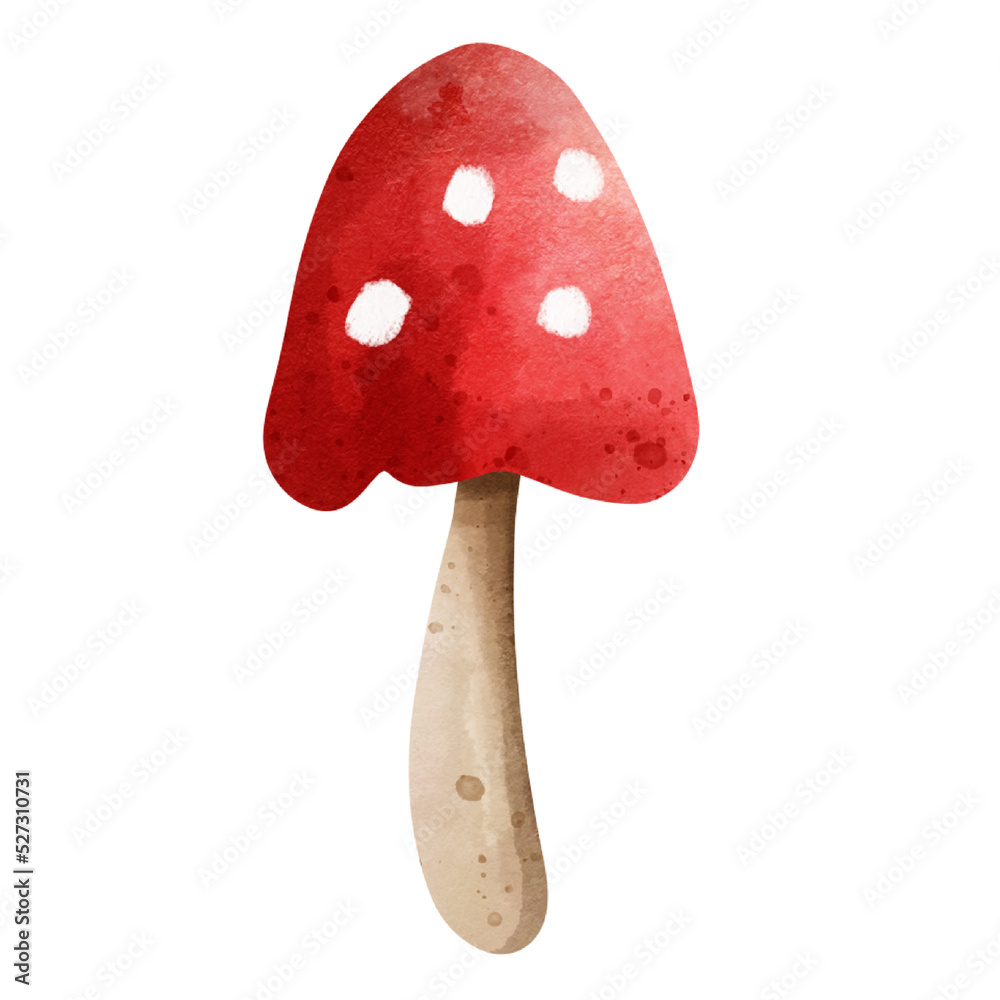 mushroom mushroom