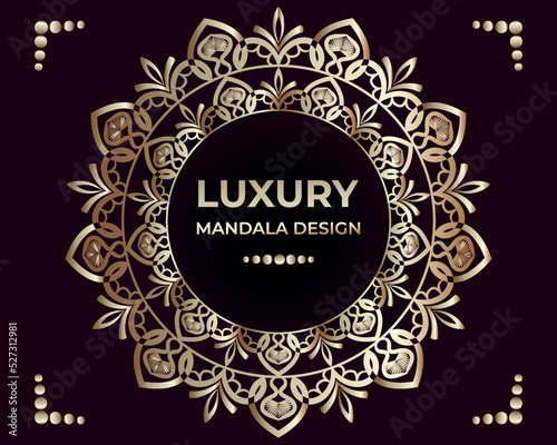  Elegant classic luxury mandala design vector