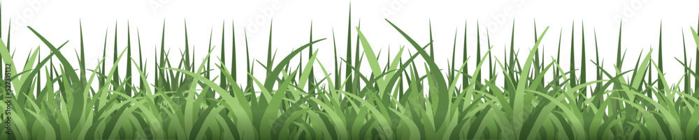 Fototapeta premium Horizontal grass border. Fresh natural garden lush
