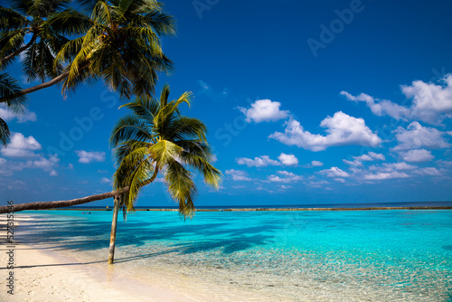 Landscape on Maldives island. Beautiful sky and clouds and beach with palms background for summer vacation holiday and travel concept.