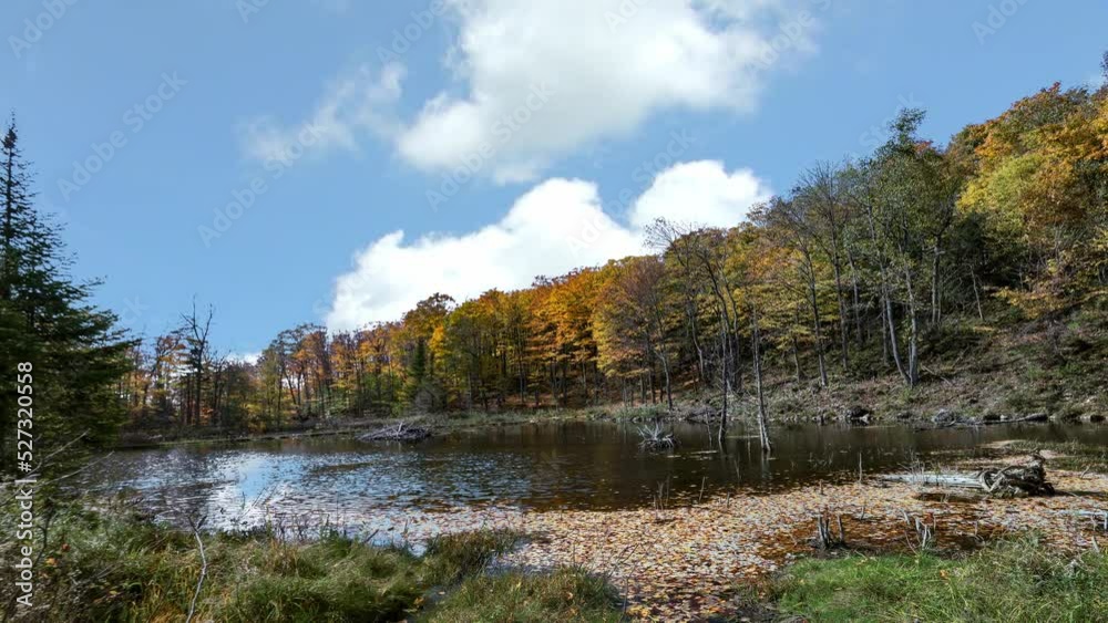 Autumn on the beaver lake Autumn on the beaver lake