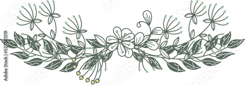 Floral divider. Hand drawn vintage branch header