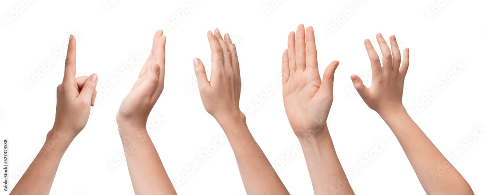 Set of hands raised with multiple gestures, cut out Set of hands raised with multiple gestures, cut out