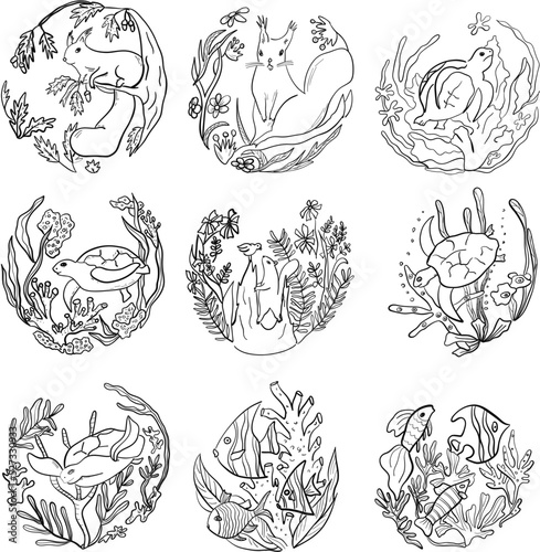 animal plants coloring graphic fish turtle squirrel sea ocean seaweed set black