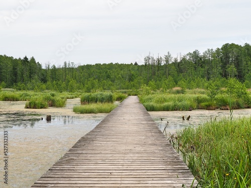 Vyzary  Sianoz  tka - spillway  wooden pier  wooden footbridge