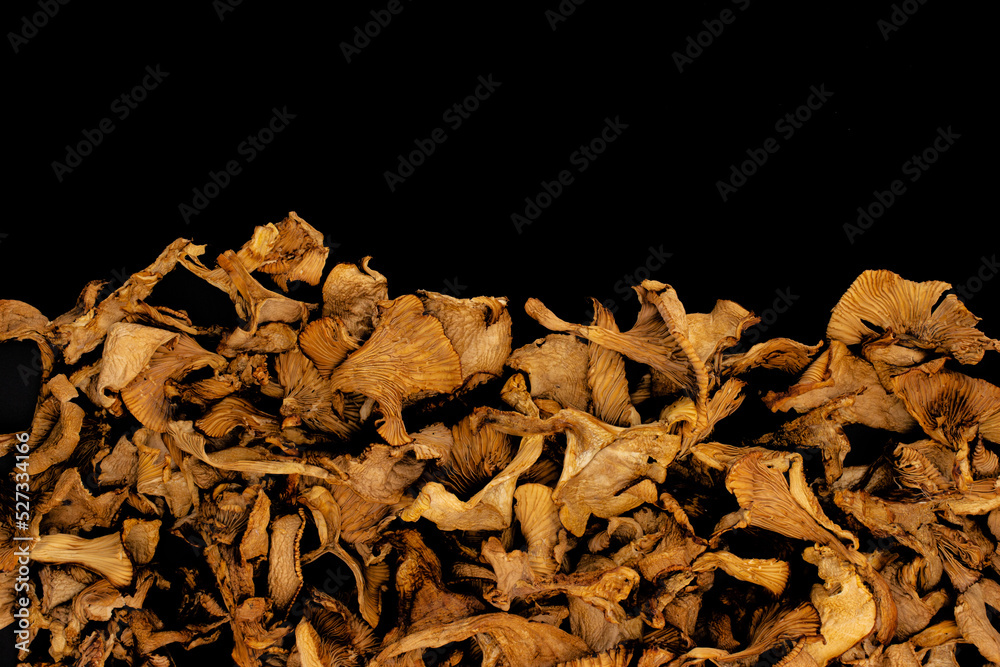 Dry golden chanterelles or Girolle mushrooms isolated on a black background with copy space. Top view Dry golden chanterelles or Girolle mushrooms isolated on a black background with copy space. Top view