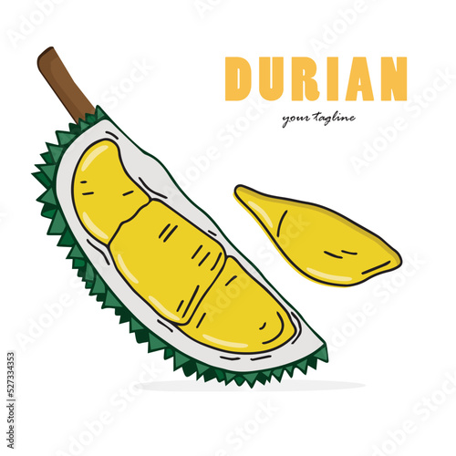 Durian delicious fruit vector design. Durian fruit whole and peeled. Flat art cartoon drawing design. Vector isolated on white background.
