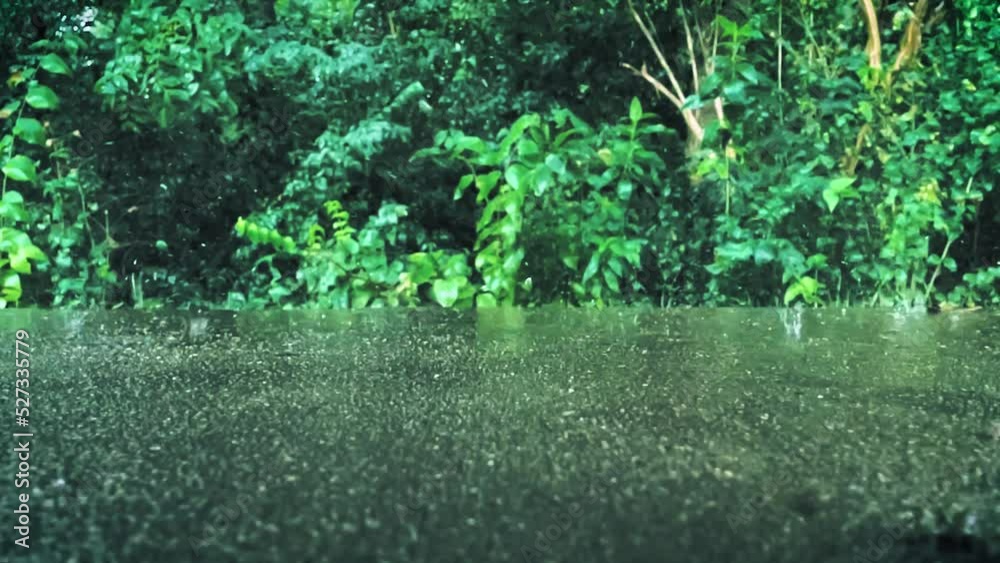 Slow motion of rain drops falling on concrete surface in front of bush leaves blown by the wind