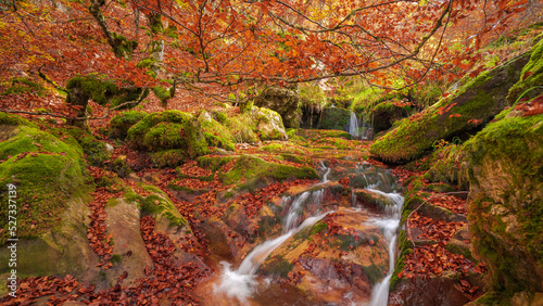 Small waterfall on autumn day in forest photo