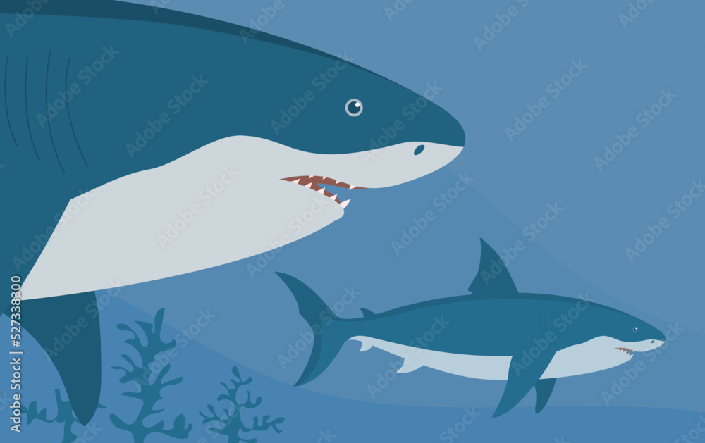 Prehistoric underwater shark megalodon with fins. Predatory sea fish. Scary jaws with teeth. Wildlife of the Jurassic period. Vector illustration Prehistoric underwater shark megalodon with fins. Predatory sea fish. Scary jaws with teeth. Wildlife of the Jurassic period. Vector illustration